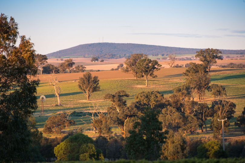 The sweeping views of Bonnie Doone in the Hilltops Wine Region. Photo: Supplied
