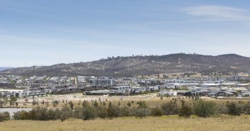 Coombs multi-unit development sites released for sale