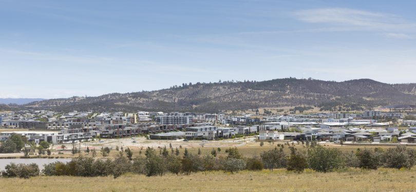 Coombs in the Molonglo Valley