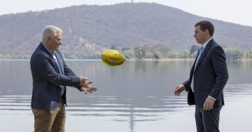 Liberals to fix Canberra's abandoned ovals, flag subsidies for kids sport