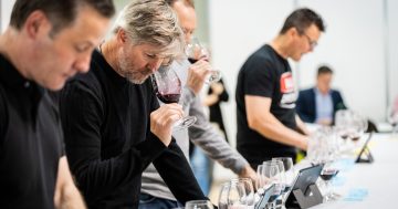 Grape expectations at Australia's ultimate wine show