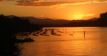 Moruya shellfish hatchery a step closer