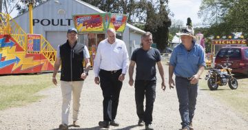 Drought be damned, the Queanbeyan Show must go on