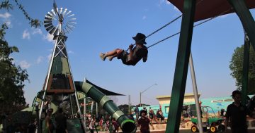 New playground for locals and visitors on the Braidwood stopover