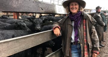 Southern Tablelands initiative recognised for innovative agriculture