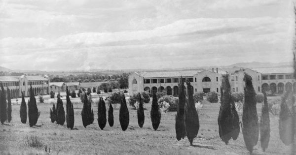 Canberra’s oldest surviving businesses still going strong