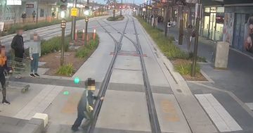 Safety warning as new light rail video shows shocking near misses