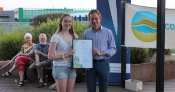 Solar farm company and student strike leaders take home environmentalism awards