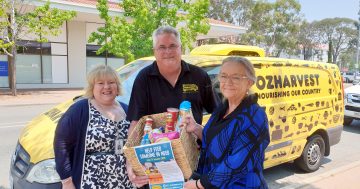 Libraries still the place to donate food this Christmas