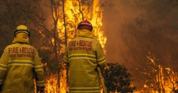 Federal Government to compensate firefighters as South East blazes continue