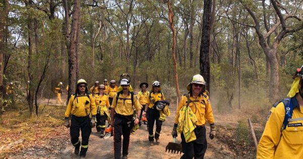 Probing the polls: a quiet Christmas, but a fierce debate on ADF firefighting proposal