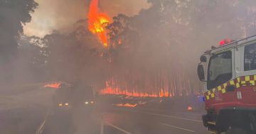 Currowan fire continues to threaten towns on day of extreme heat