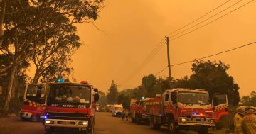 Currowan fire impacts Bawley Point, continues to spread