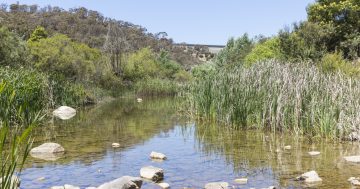 See Googong Differently