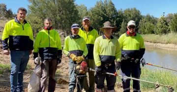 Koomarri cleanup prompts call for disability workforce inclusion