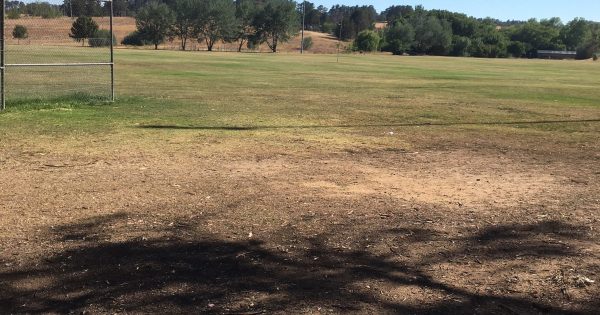 Is Canberra sport ready for the impact of the drought?