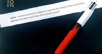 Word of the year gives 'voice' to Indigenous understanding
