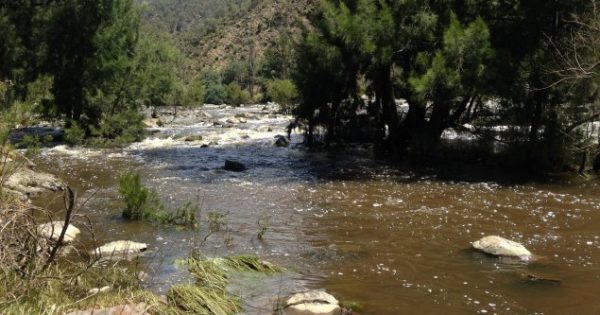 Renewed call for information on anniversary of discovery of First Nations man's body in Murrumbidgee River