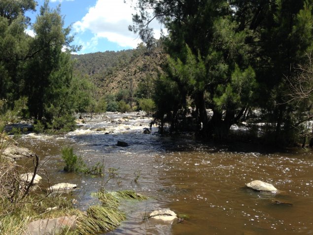 Murrumbidgee River