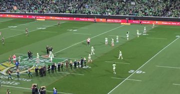 The Raiders dominate Canberra’s biggest sports stories of 2019