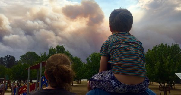 Bushfire anniversary triggers impact on south coast