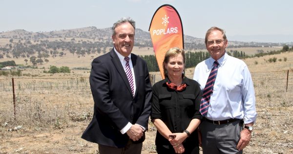 From paddocks to Poplars, the Jerrabomberra vision is being realised