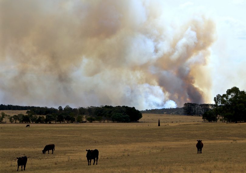 The North Black Range fire