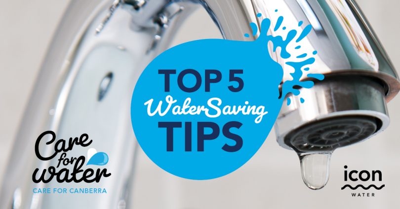 Top 5 tips to save water this summer