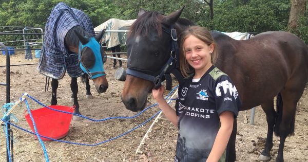 Horse lovers home after Currowan flames but ready to go again