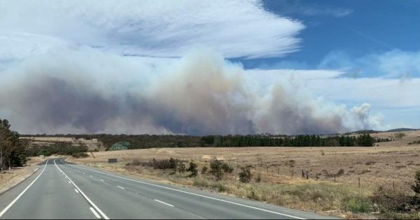 Palerang fire spreading in multiple directions, Kings Highway closed