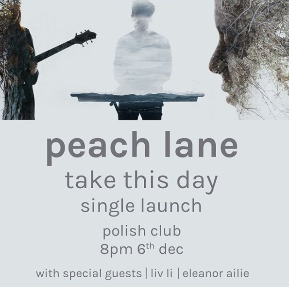 Peach Lane poster