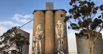 A mighty concrete canvass for Wallendbeen