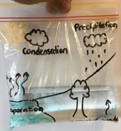 Make your own water cycle in a bag