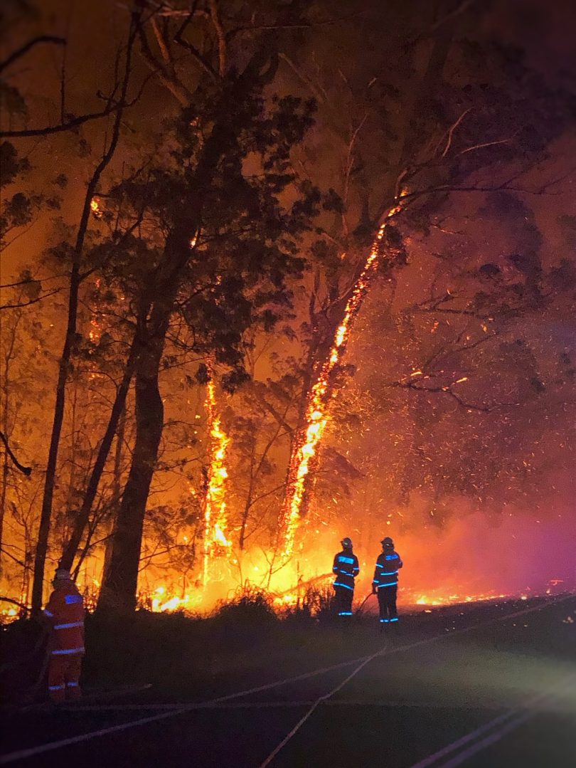 Currowan fire (Shoalhaven LGA)