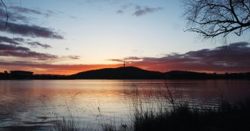 How to keep your cool in Canberra during a heatwave