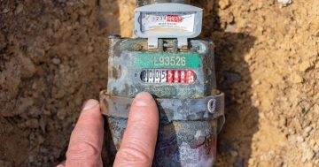 ACT Government to introduce individual water metering for each unit in new apartment buildings