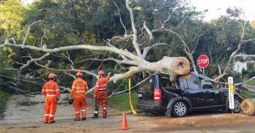 BOM issues severe weather warning for damaging winds