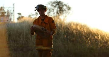 Demand for mental health support doubles as Rural Fire Service members hit hard by disaster