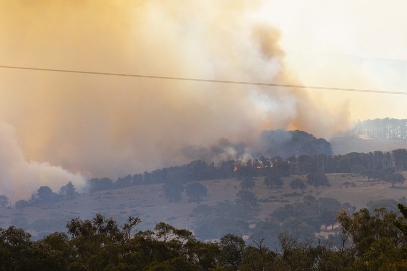 Bushfire at Pialligo yesterday. 