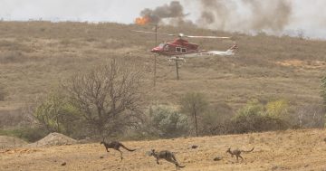 Bureau signals floods and grass fires for season ahead