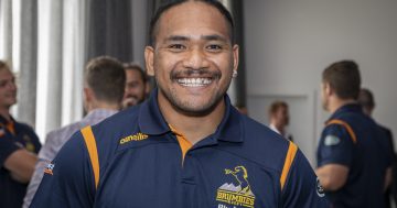 Former NRL star poised to become the Brumbies X factor