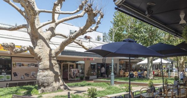 Manuka 101: why this green and stylish hub is a magnet for its community