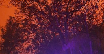 UPDATE: Moruya again counts fire cost as conditions ease overnight