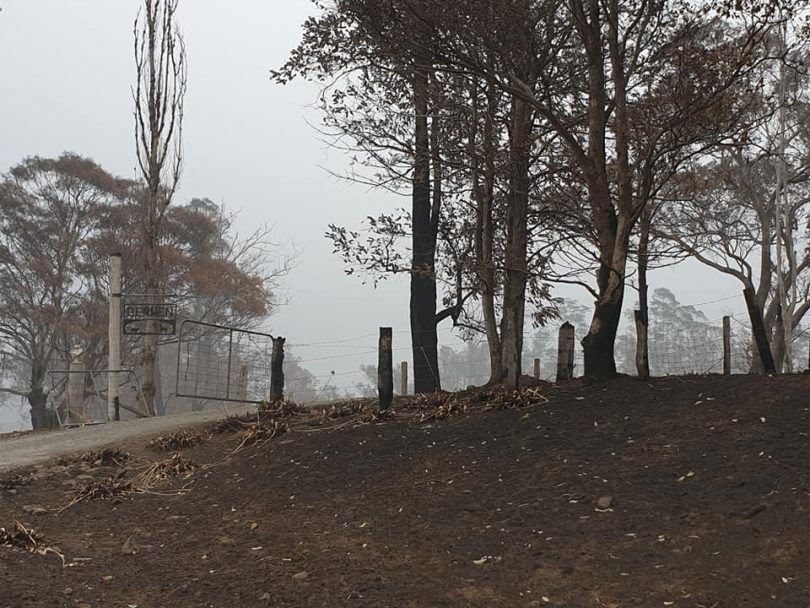 Devastation on a property at Cobargo