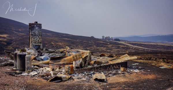 Injured horses and destroyed huts - how Kosciuszko fared the fires