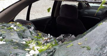 Storms, hail, strong winds lash Canberra