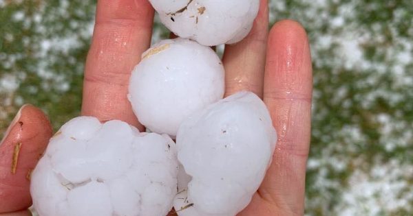 Financial assistance for hail damage extended