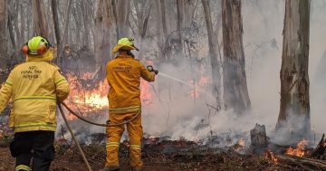 Fires in NSW 