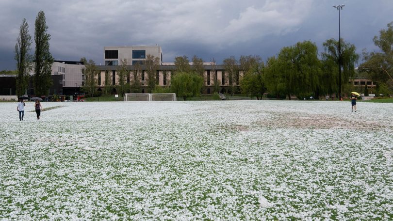 A hail-covered oval at ANU