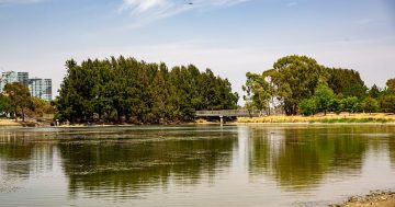 Yerrabi Pond to receive floating wetland alongside its new rotunda
